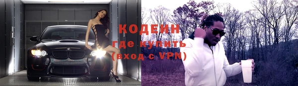 гидра Горняк