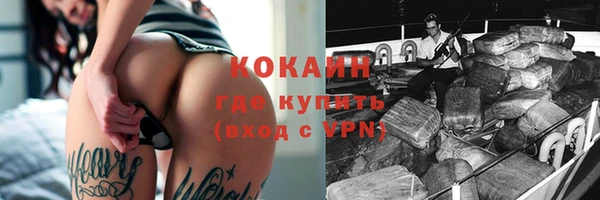 гидра Горняк