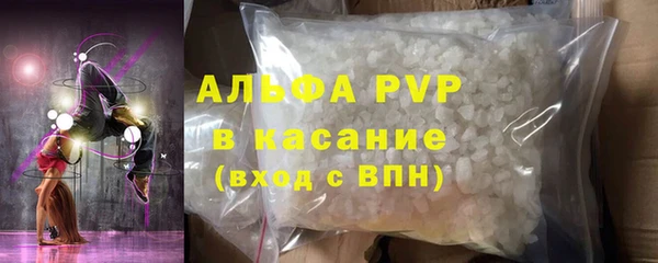 гидра Горняк