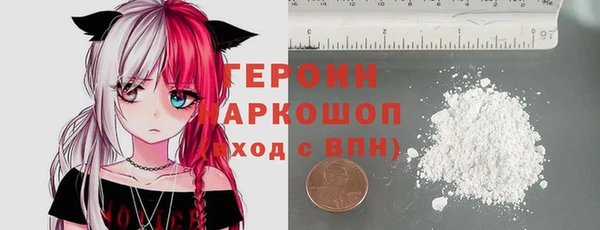 гидра Горняк