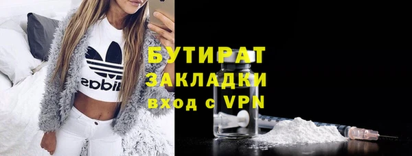 гидра Горняк