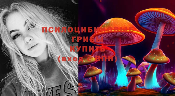 прущий лед Горно-Алтайск