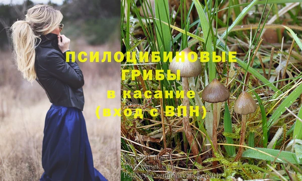 прущий лед Горно-Алтайск