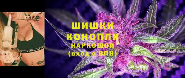 мдпв Горнозаводск