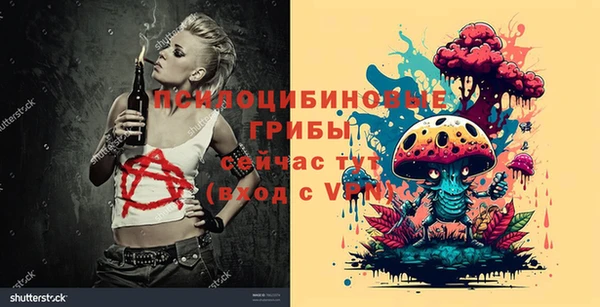 мдпв Горнозаводск