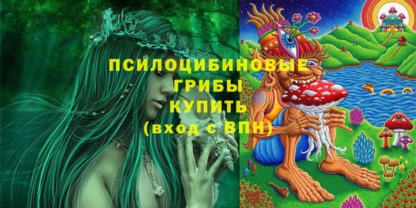 гидра Горняк