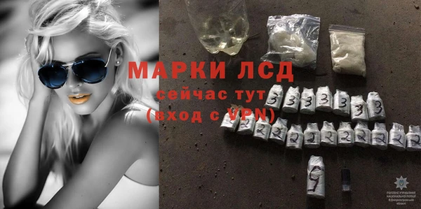 гидра Горняк
