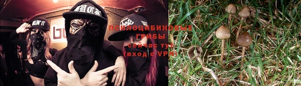 гидра Горняк