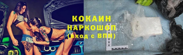 гидра Горняк