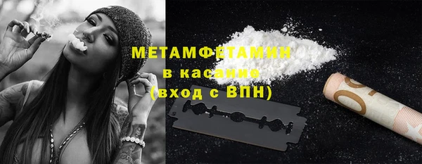 гидра Горняк
