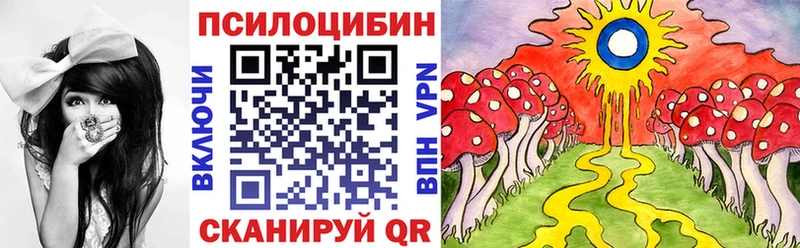 Галлюциногенные грибы Psilocybe  цены наркотик  OMG как зайти  Горнозаводск 